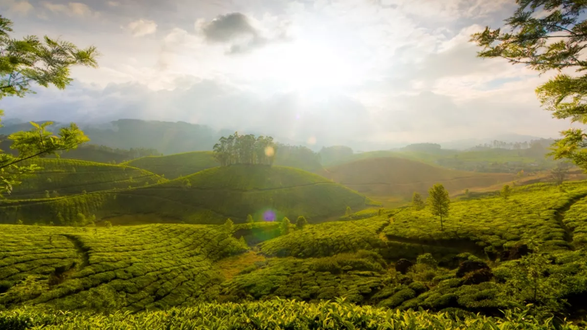 Best Time to Visit Kerala