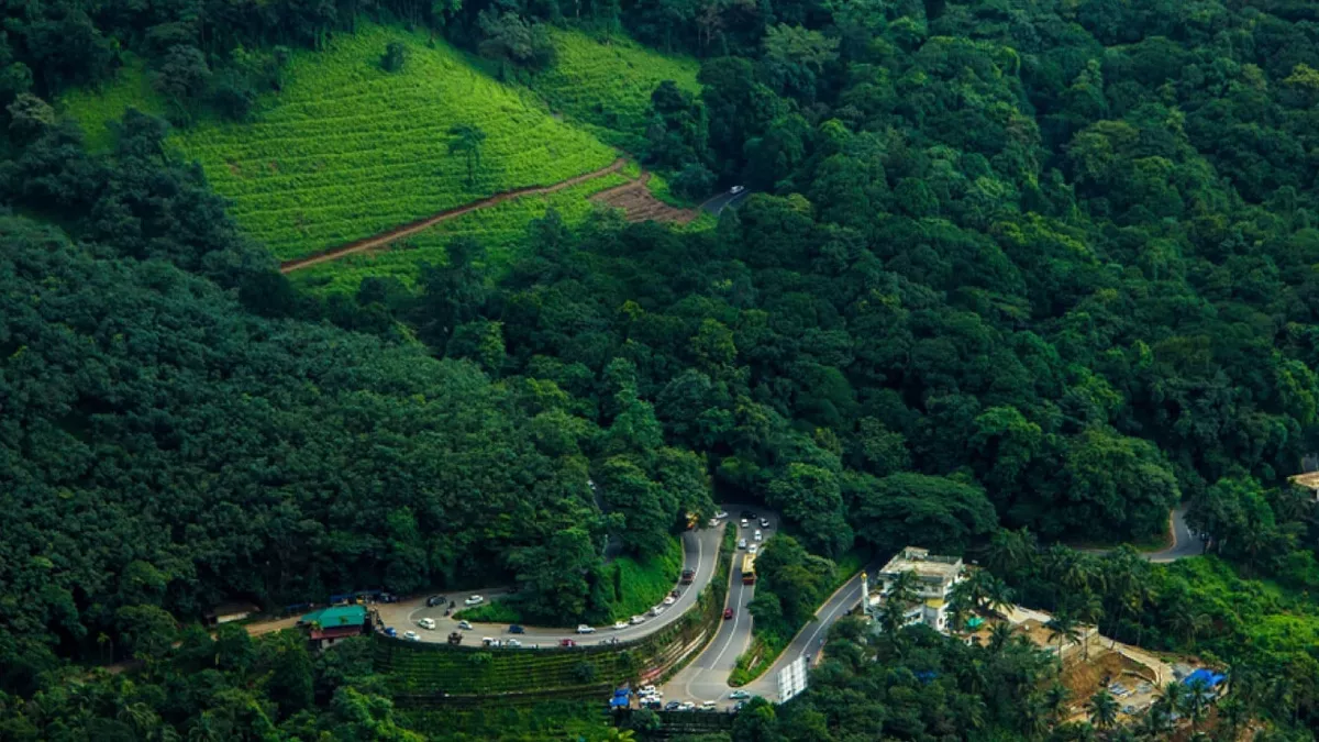 Wayanad Web Banner