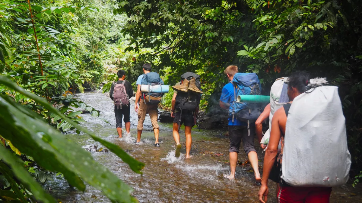 Wildlife destinations in Kerala