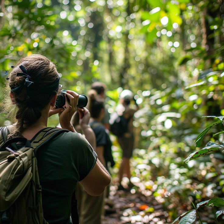 Everdine Tours & Travel Images