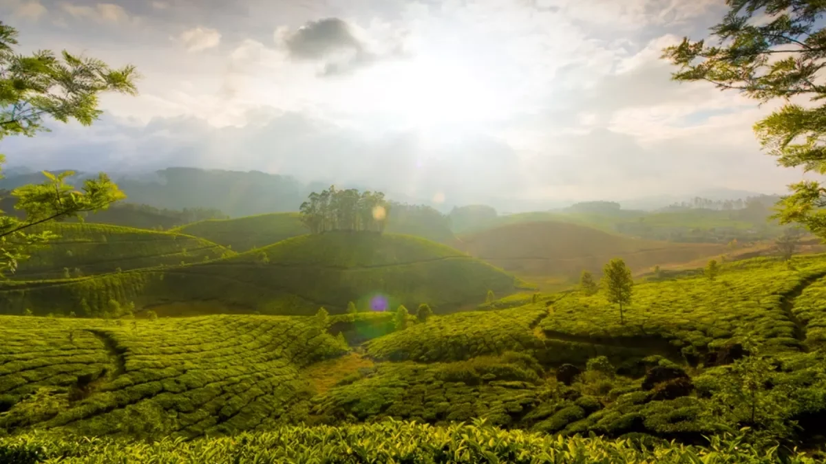 Best Time to Visit Kerala