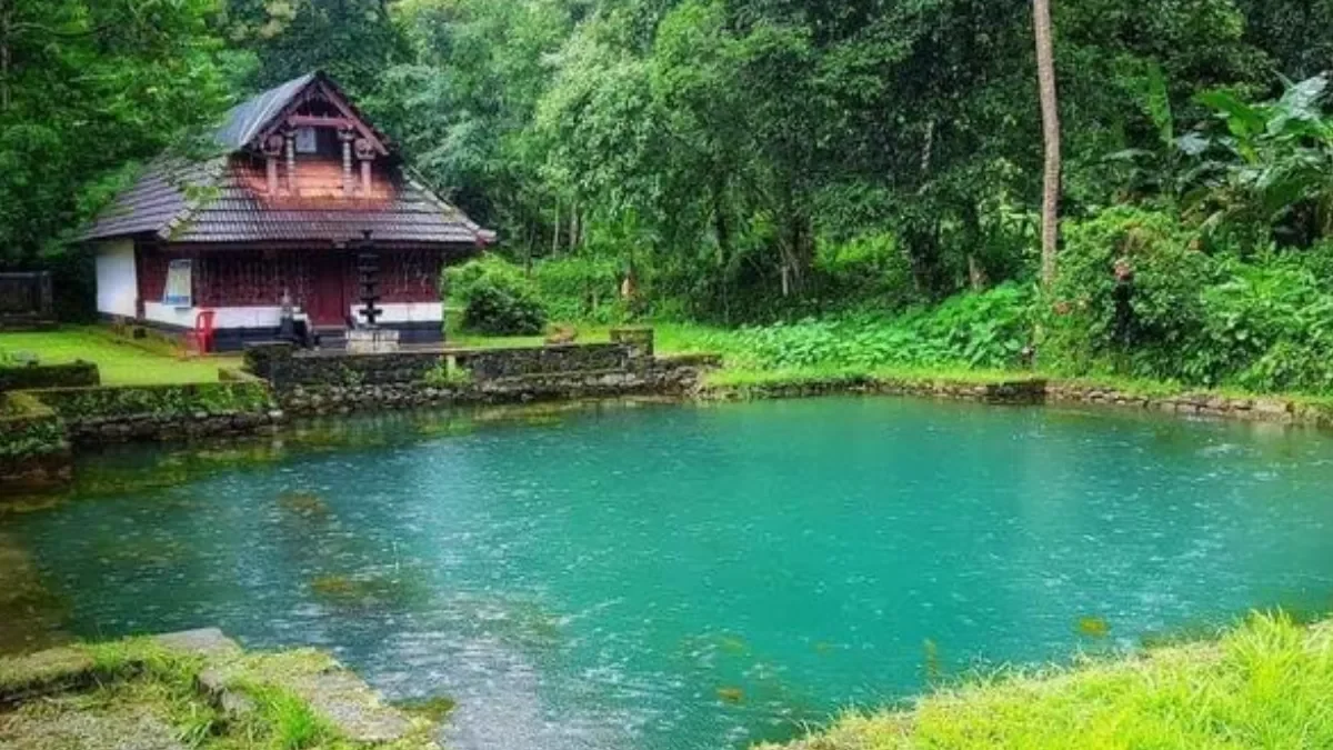 5N 6D Calicut Wayanad Coorg