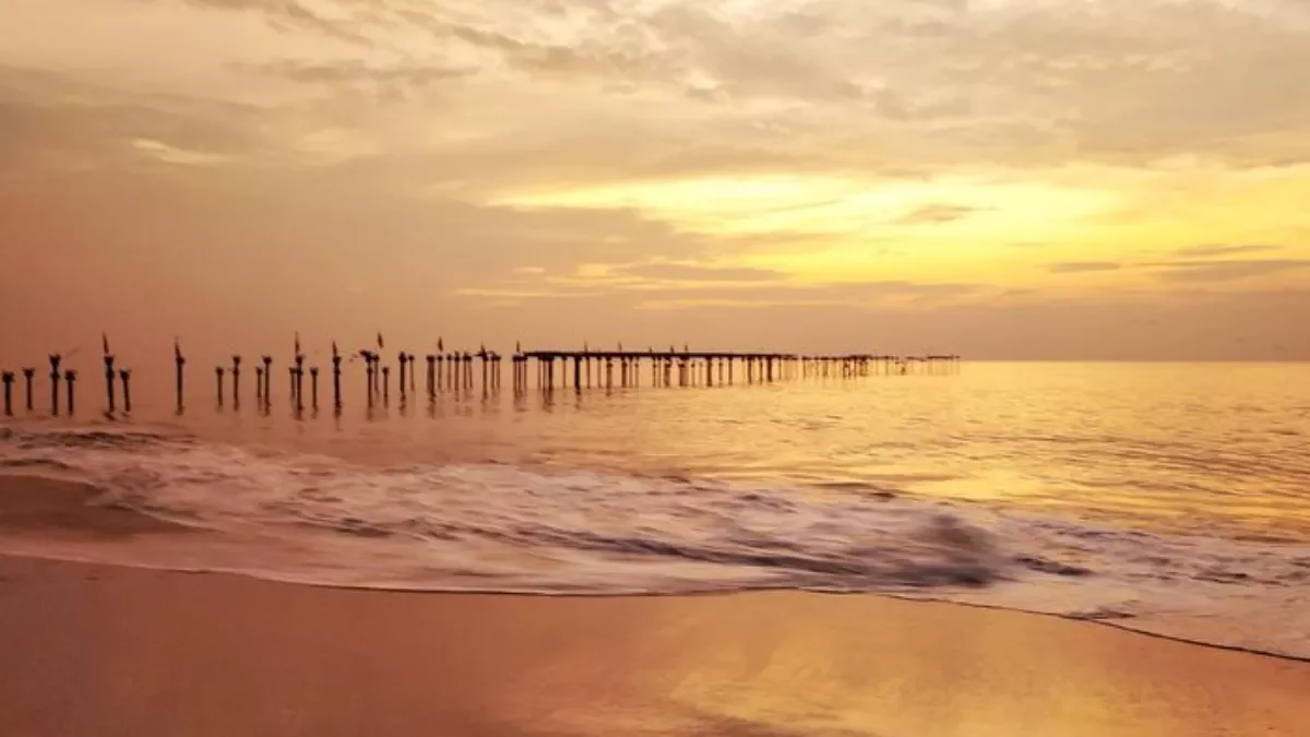 Calicut Wayanad Package