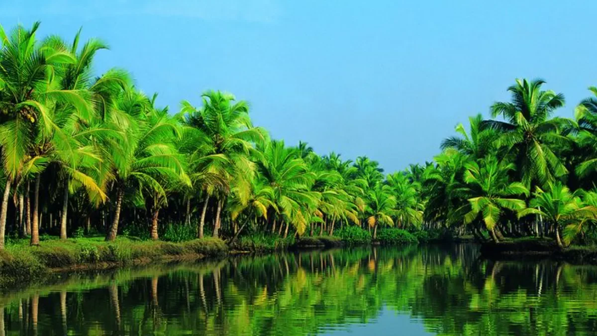6N 7D Kerala Package