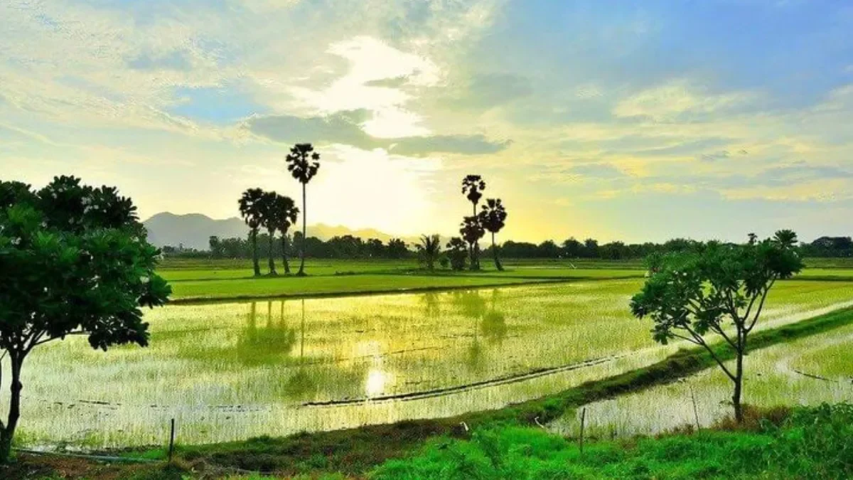 6N 7D Kerala Package