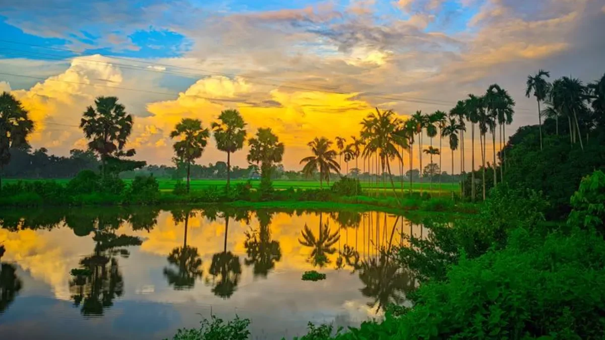 7N 8D Kerala Package