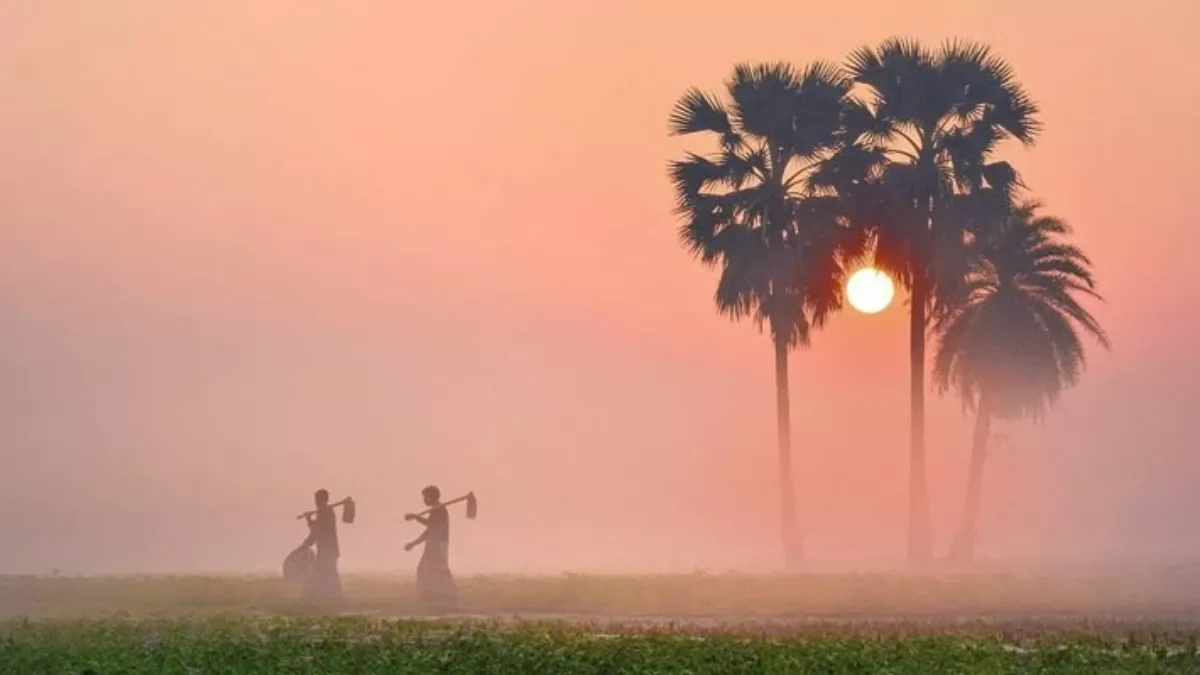 4N 5D Kerala Package