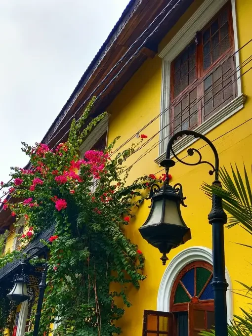 Kerala Escape Package