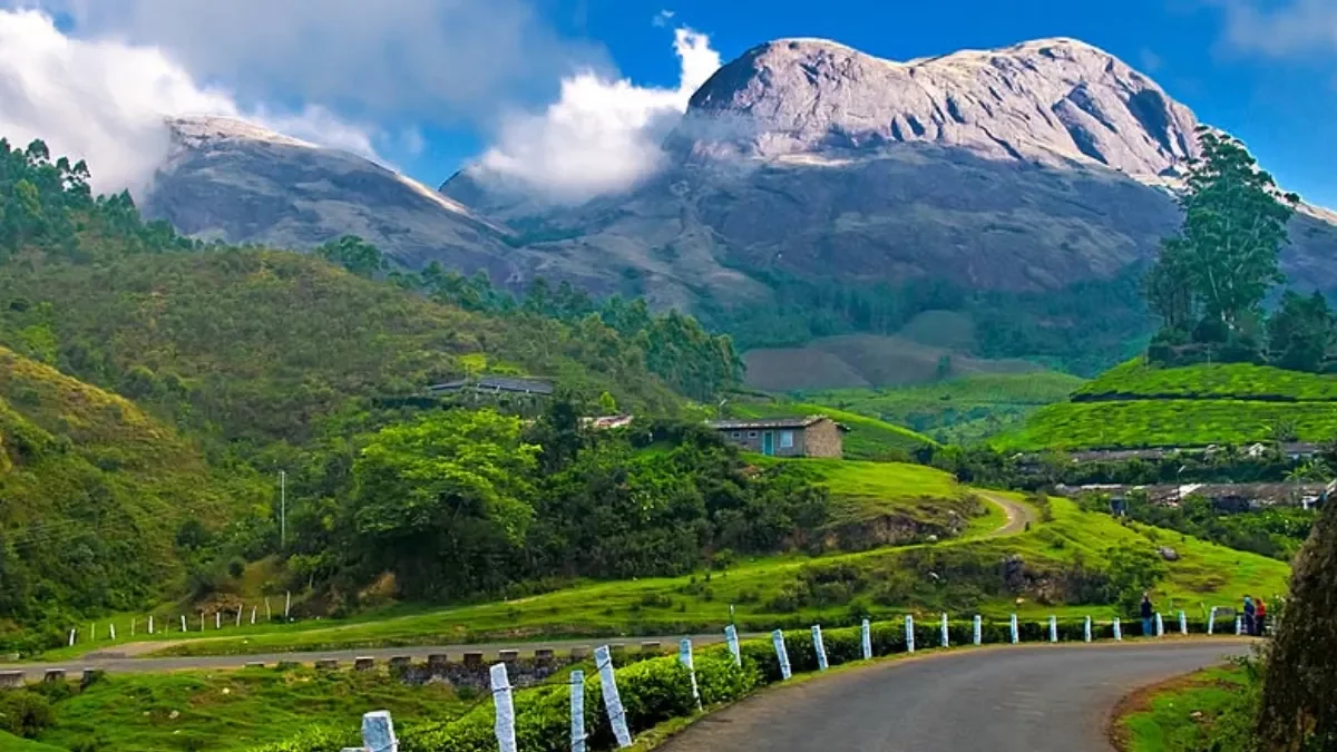 Munnar Tour