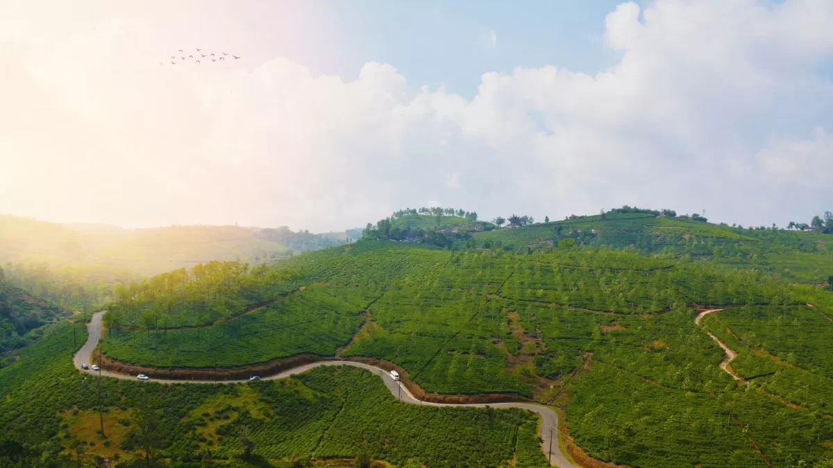 Vagamon Web Banner