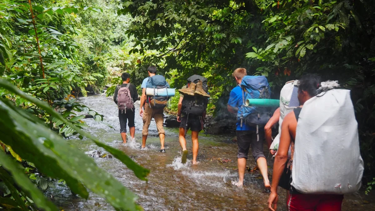 Wildlife destinations in Kerala